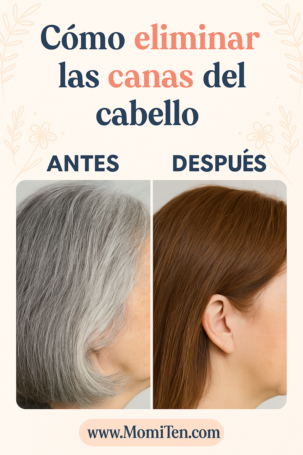 Cómo eliminar las canas